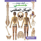 كيف يعمل جسمى الهيكل العظمى
