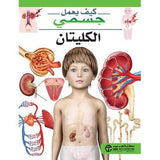 كيف يعمل جسمى الهرمونات