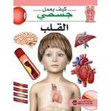 كيف يعمل جسمى القلب