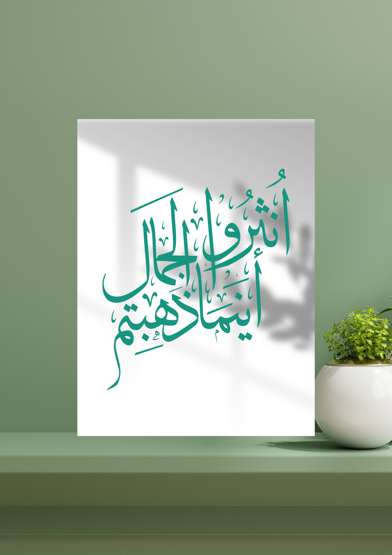 بورتريه انثروا الجمال