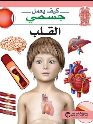 كيف يعمل جسمى الكبد